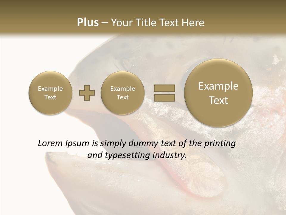 Nutrition Meat Fin PowerPoint Template