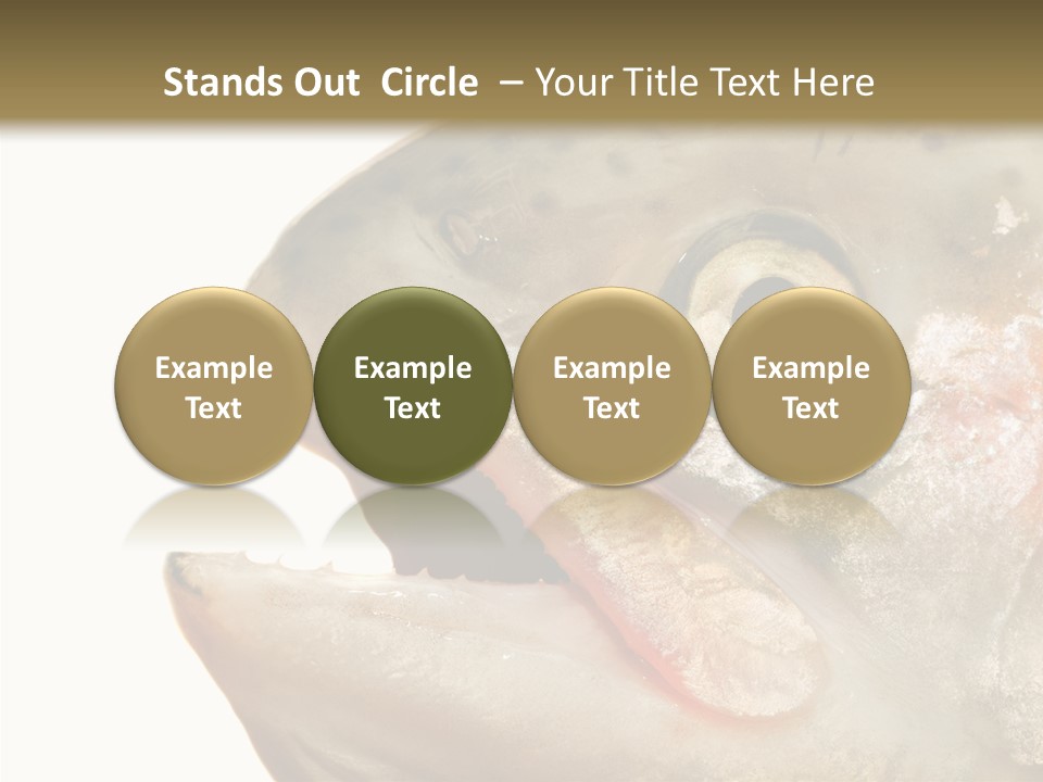 Nutrition Meat Fin PowerPoint Template