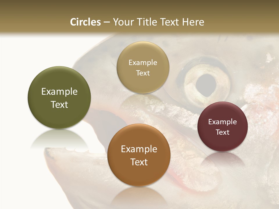 Nutrition Meat Fin PowerPoint Template