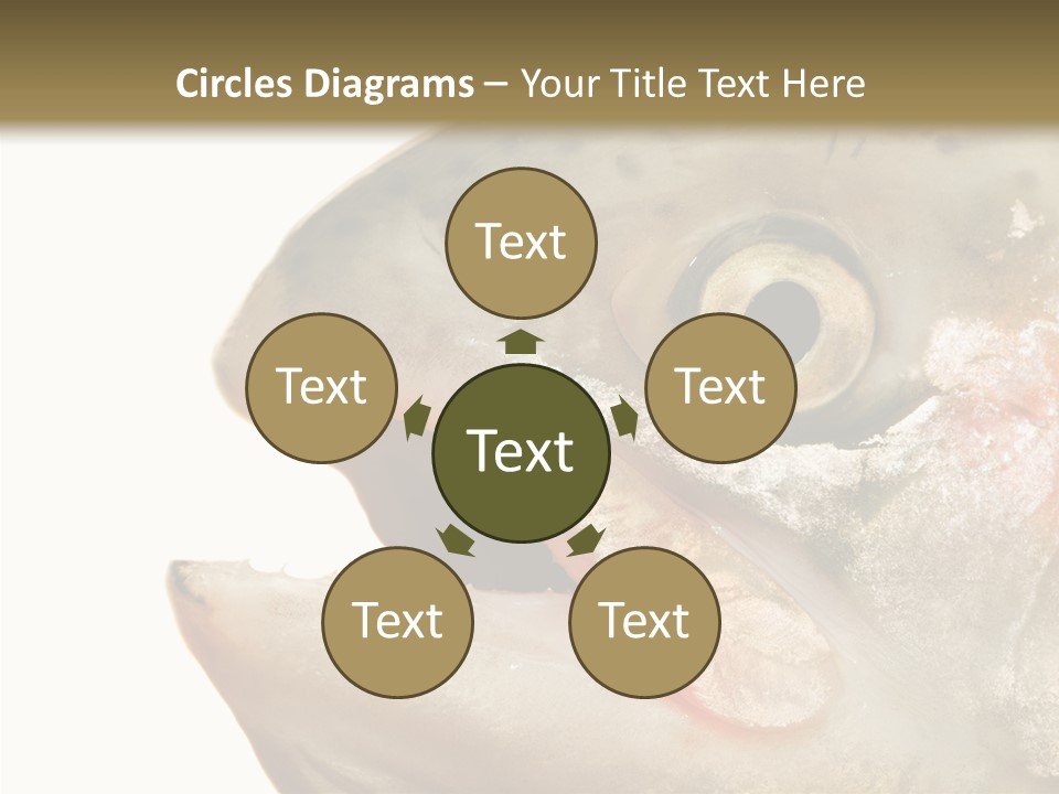 Nutrition Meat Fin PowerPoint Template