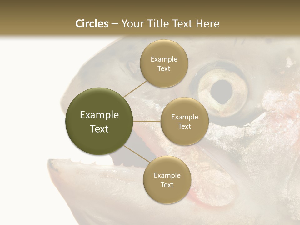 Nutrition Meat Fin PowerPoint Template