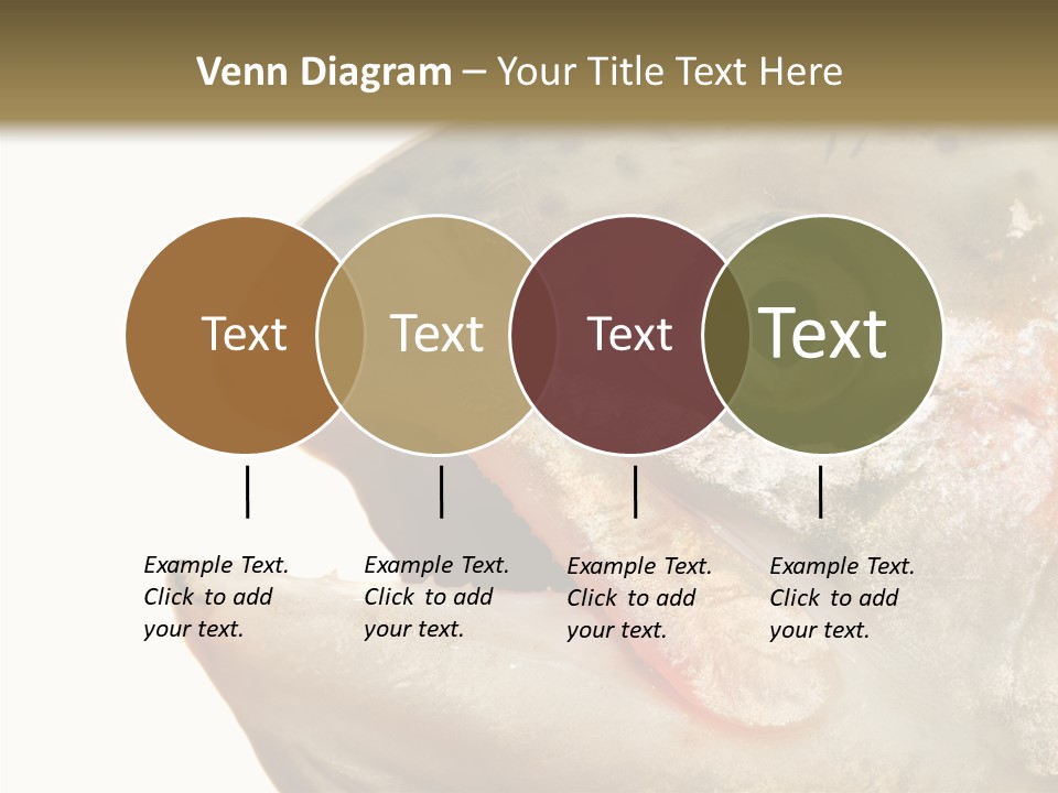 Nutrition Meat Fin PowerPoint Template