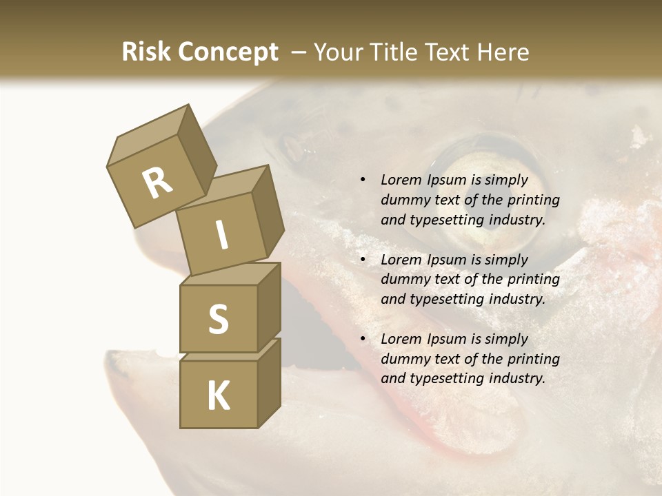 Nutrition Meat Fin PowerPoint Template