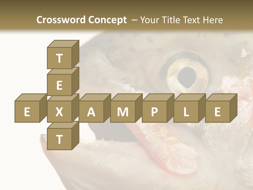 Nutrition Meat Fin PowerPoint Template