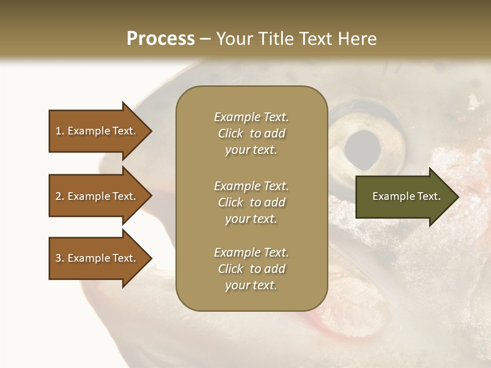 Nutrition Meat Fin PowerPoint Template