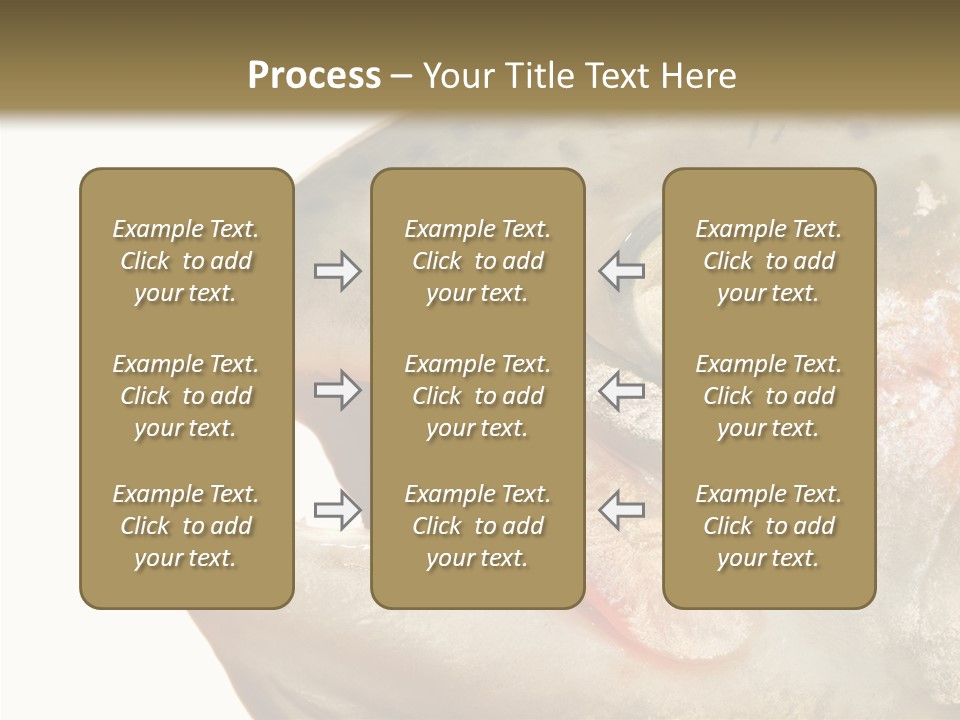 Nutrition Meat Fin PowerPoint Template