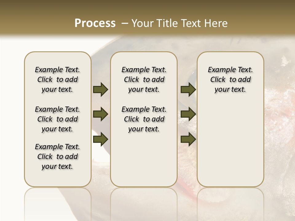 Nutrition Meat Fin PowerPoint Template