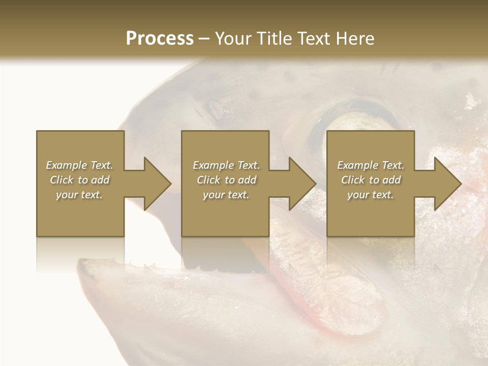 Nutrition Meat Fin PowerPoint Template
