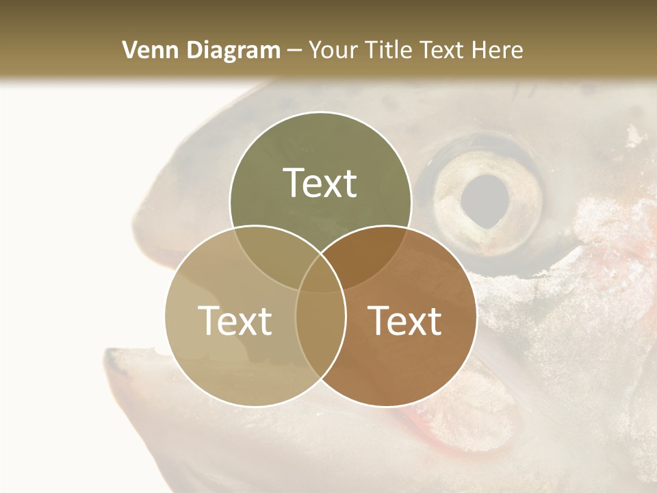 Nutrition Meat Fin PowerPoint Template