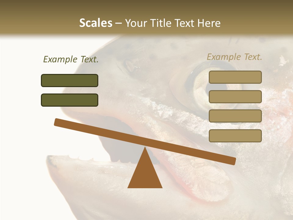 Nutrition Meat Fin PowerPoint Template