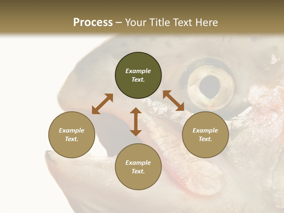 Nutrition Meat Fin PowerPoint Template