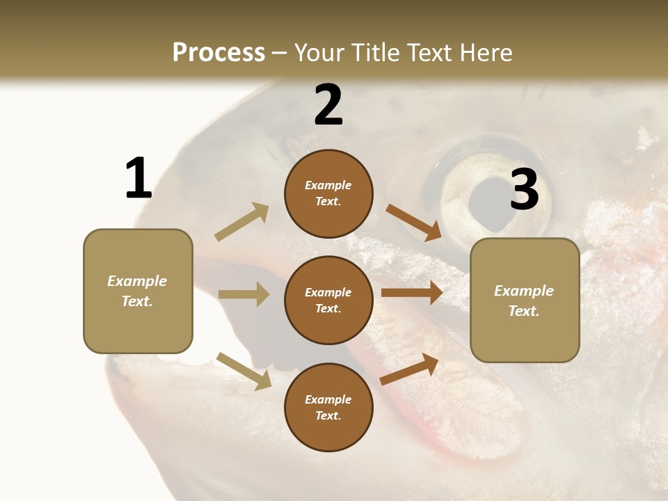 Nutrition Meat Fin PowerPoint Template