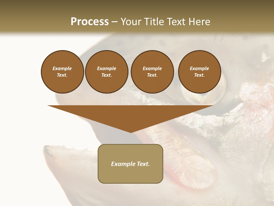 Nutrition Meat Fin PowerPoint Template