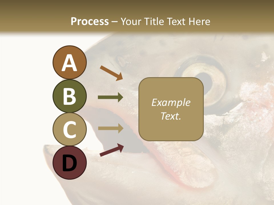 Nutrition Meat Fin PowerPoint Template