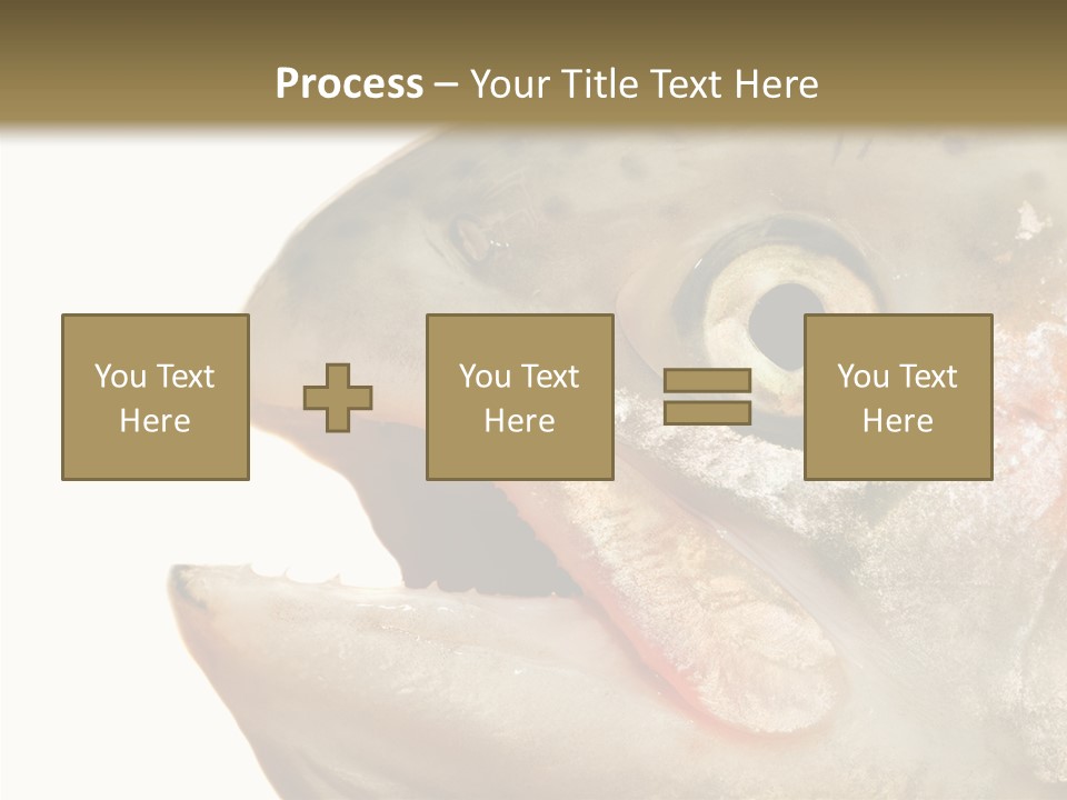 Nutrition Meat Fin PowerPoint Template