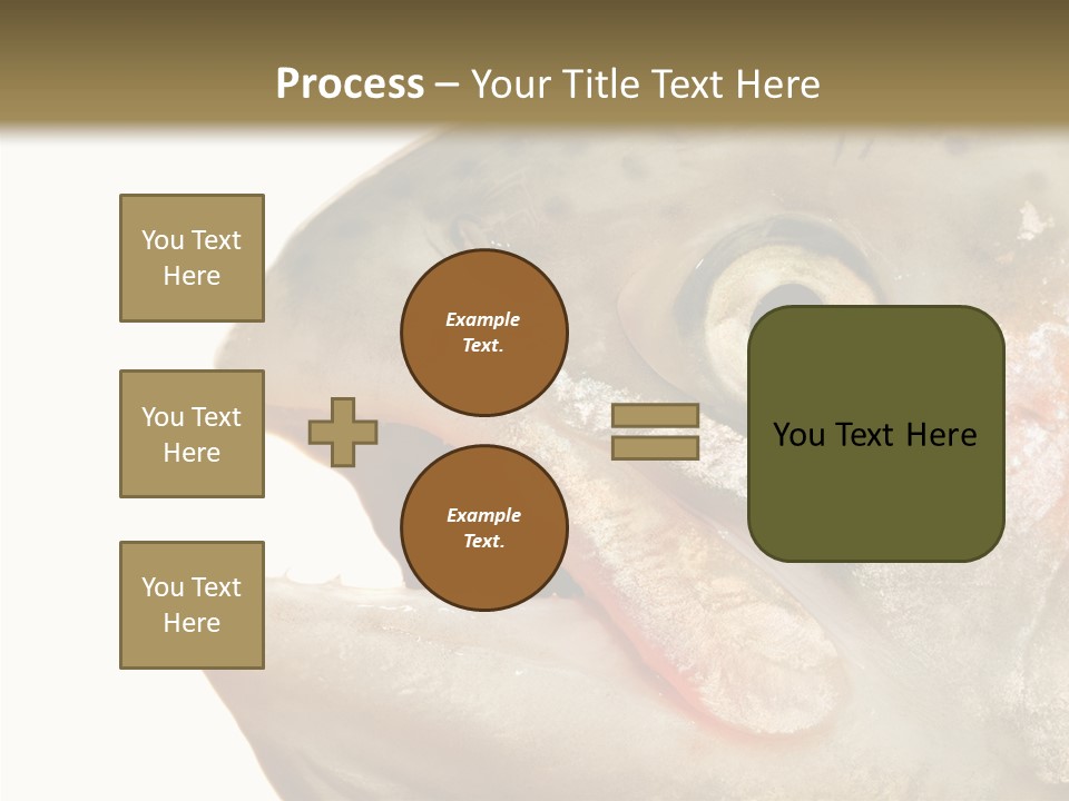 Nutrition Meat Fin PowerPoint Template