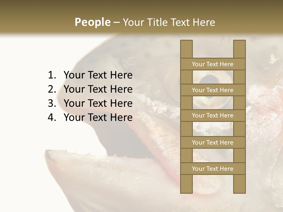 Nutrition Meat Fin PowerPoint Template