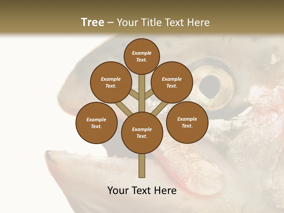 Nutrition Meat Fin PowerPoint Template