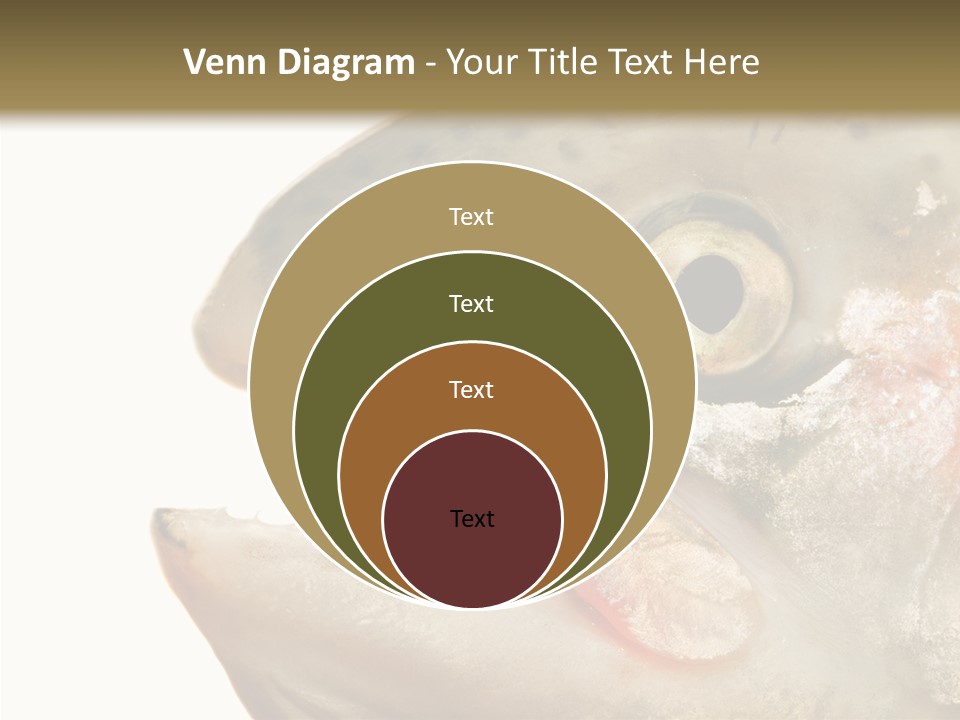 Nutrition Meat Fin PowerPoint Template