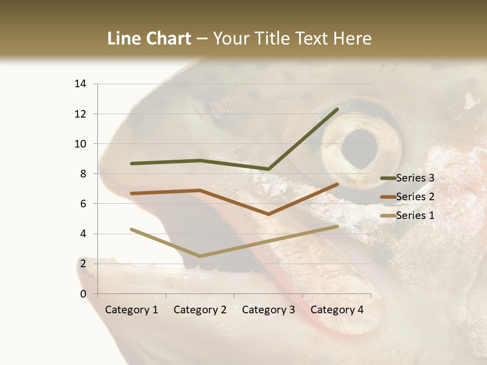 Nutrition Meat Fin PowerPoint Template