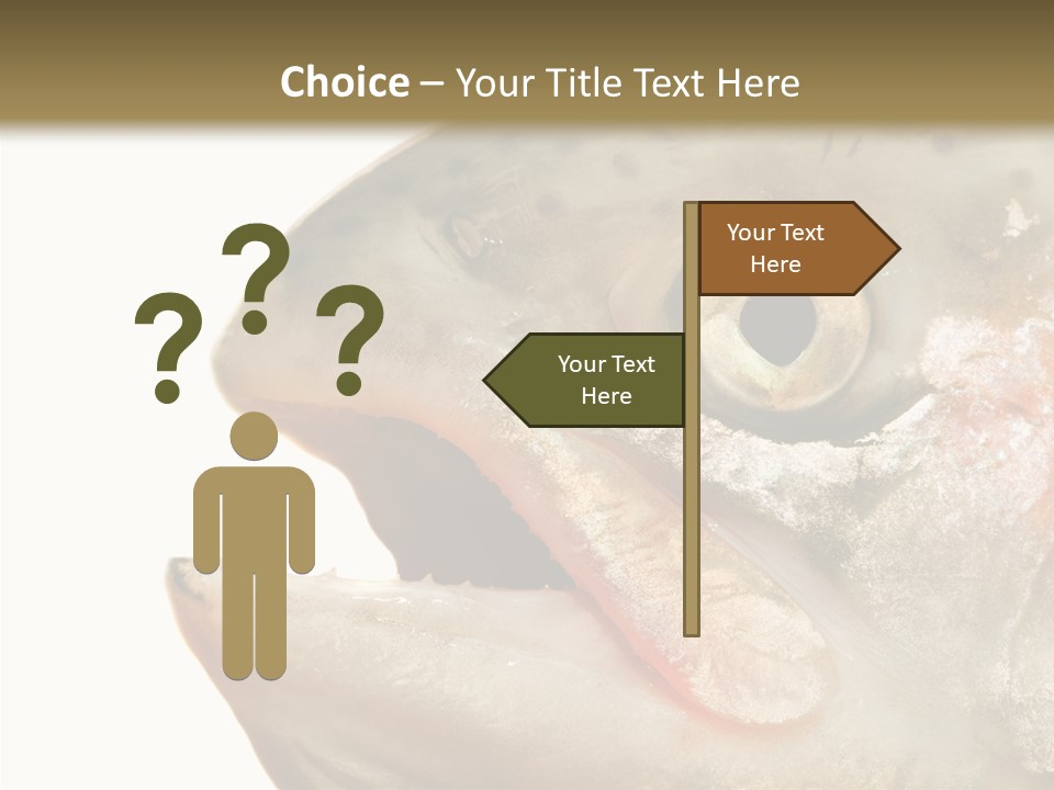 Nutrition Meat Fin PowerPoint Template