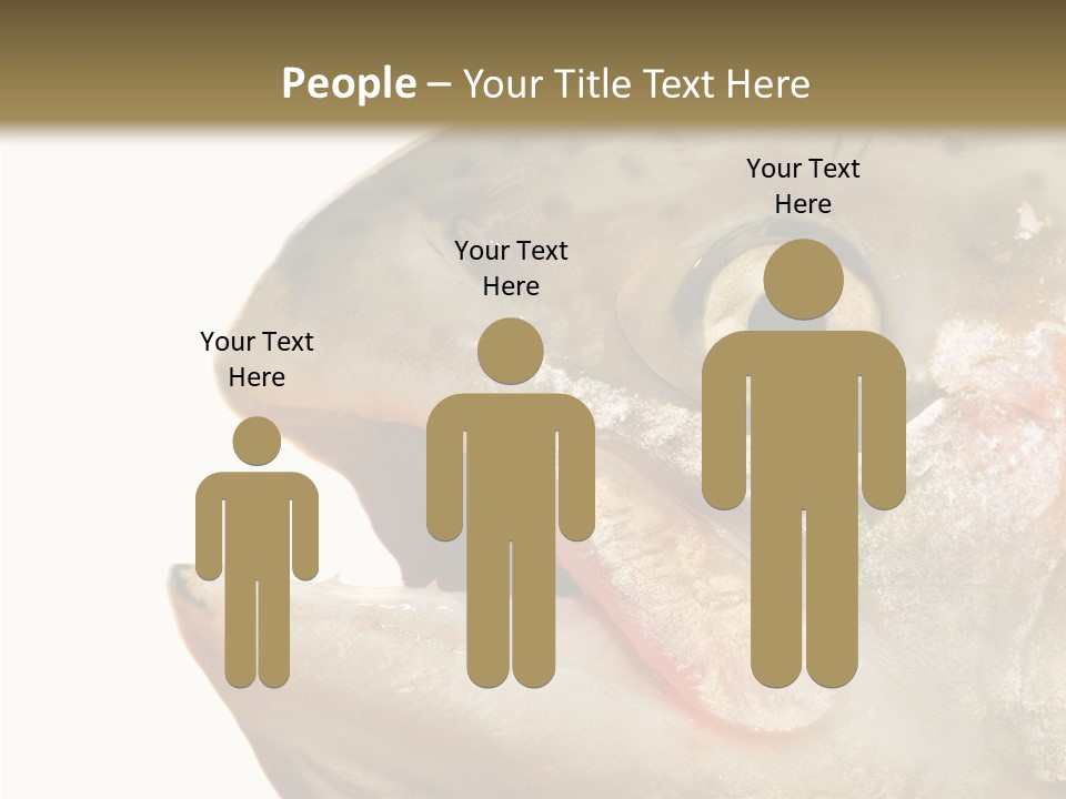 Nutrition Meat Fin PowerPoint Template