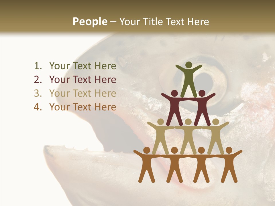 Nutrition Meat Fin PowerPoint Template