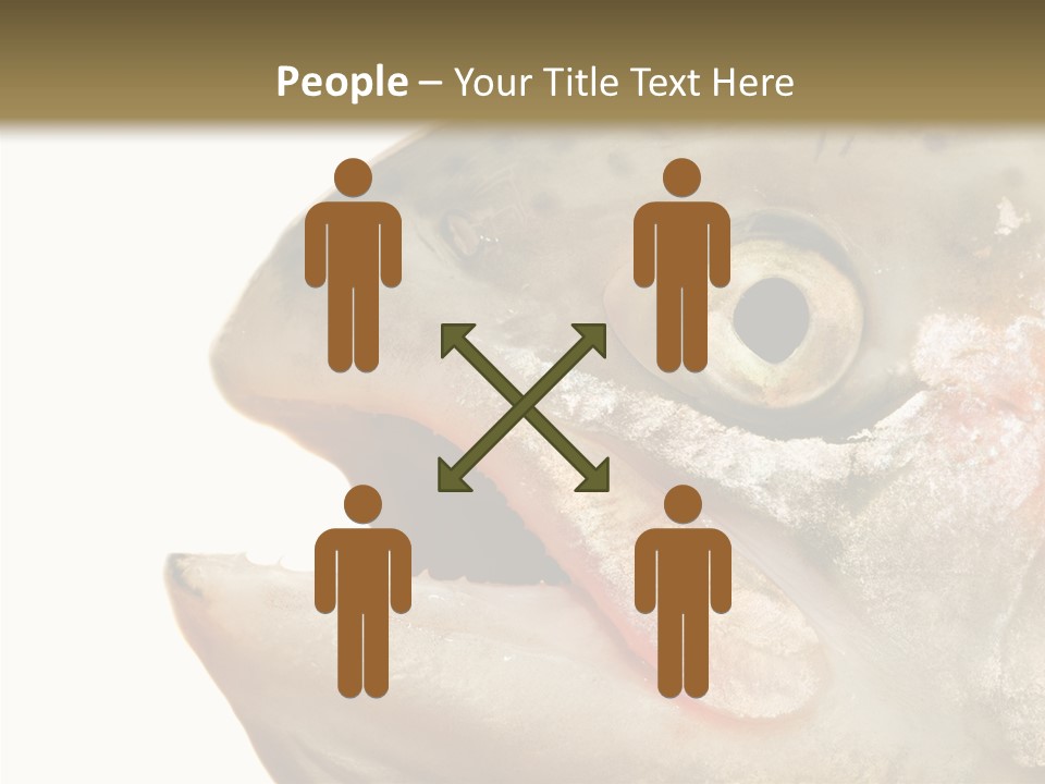 Nutrition Meat Fin PowerPoint Template