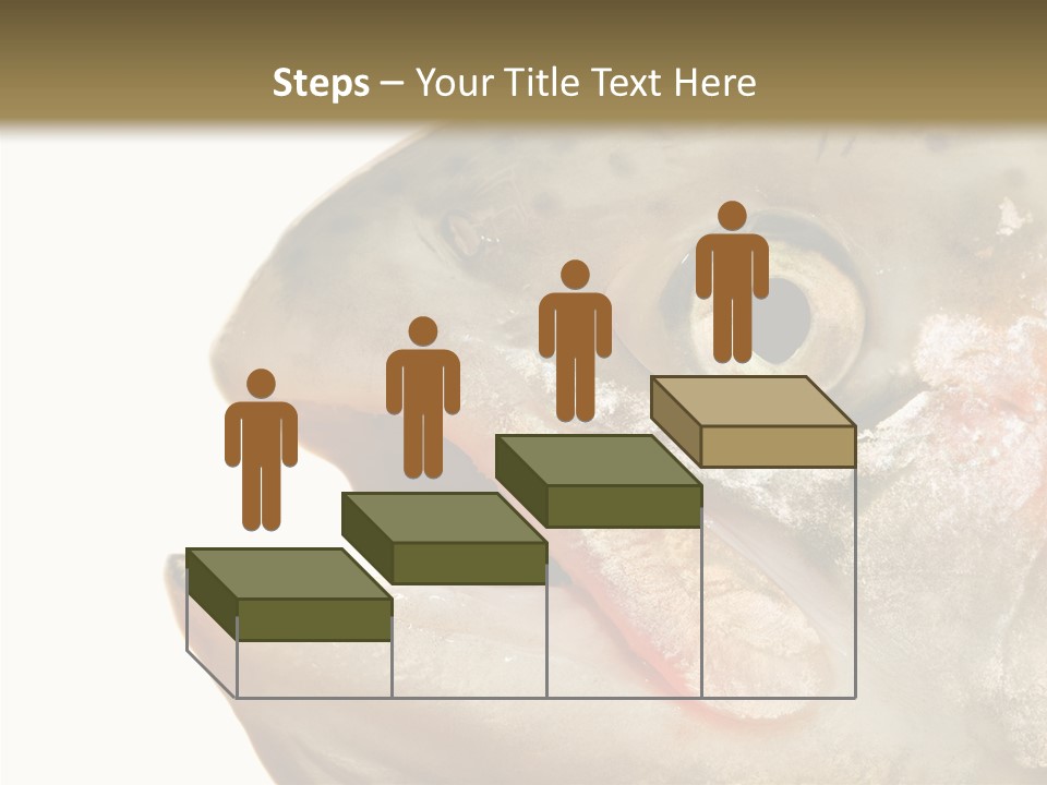 Nutrition Meat Fin PowerPoint Template