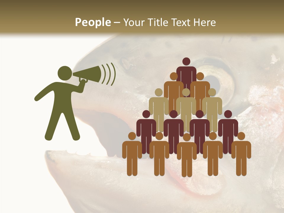 Nutrition Meat Fin PowerPoint Template