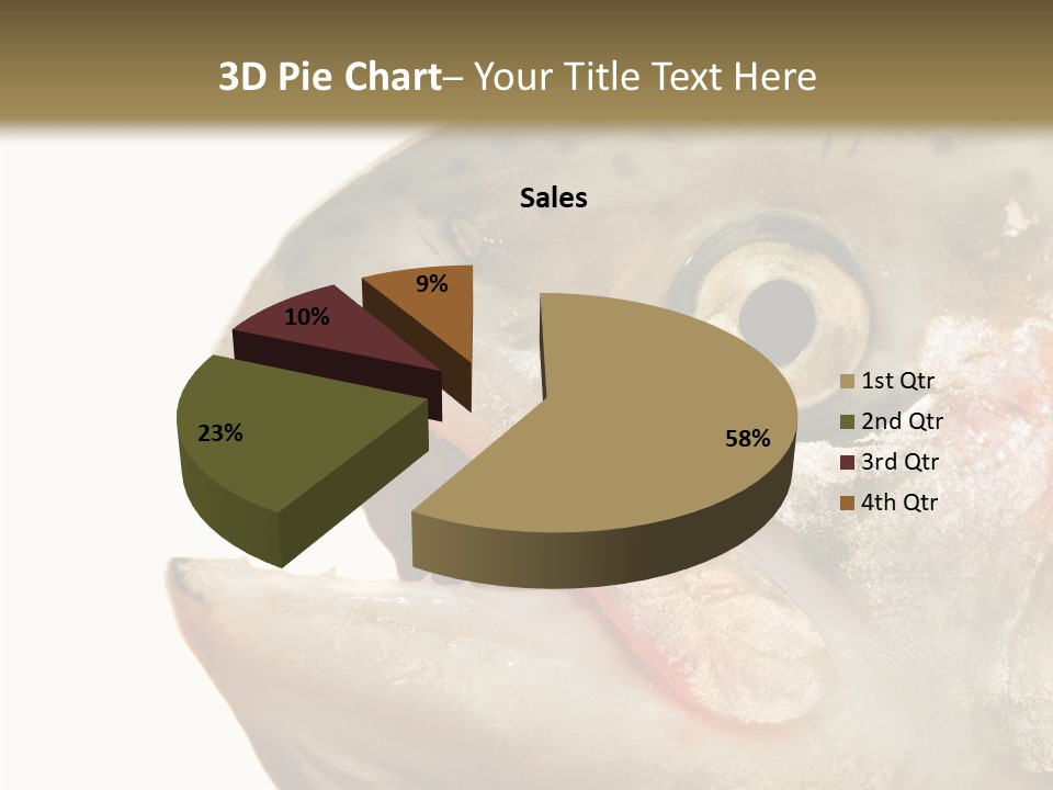 Nutrition Meat Fin PowerPoint Template