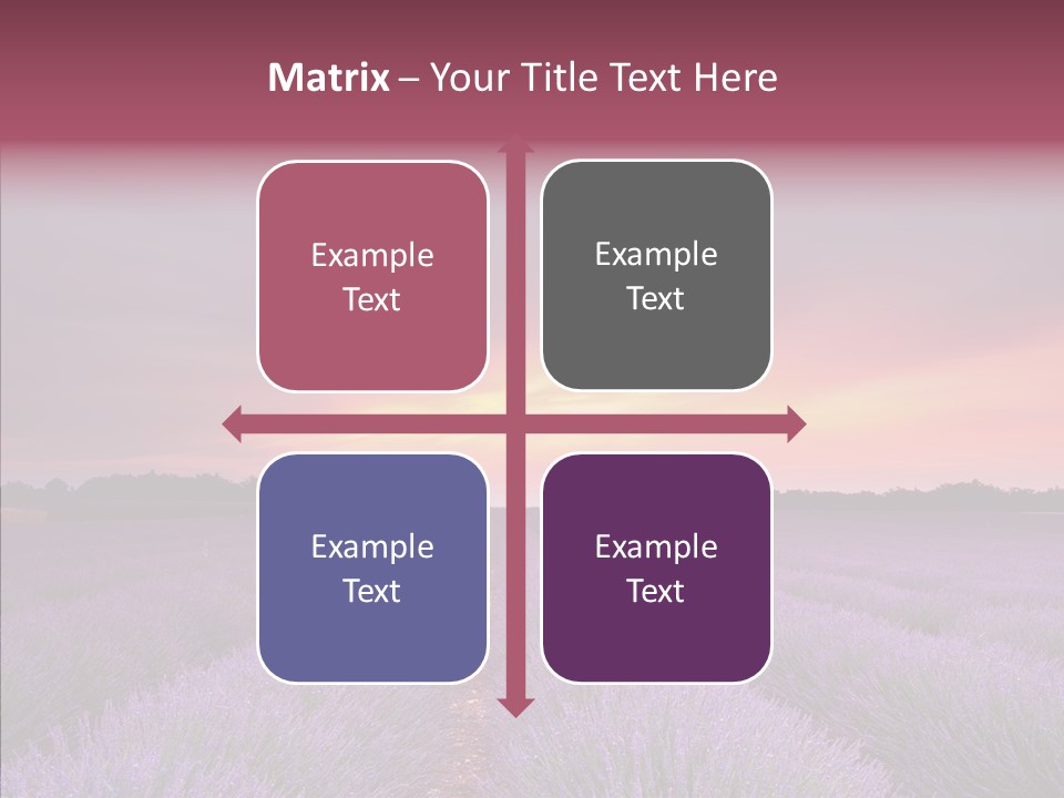 Dusk Perfume Field PowerPoint Template