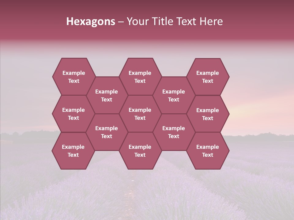 Dusk Perfume Field PowerPoint Template