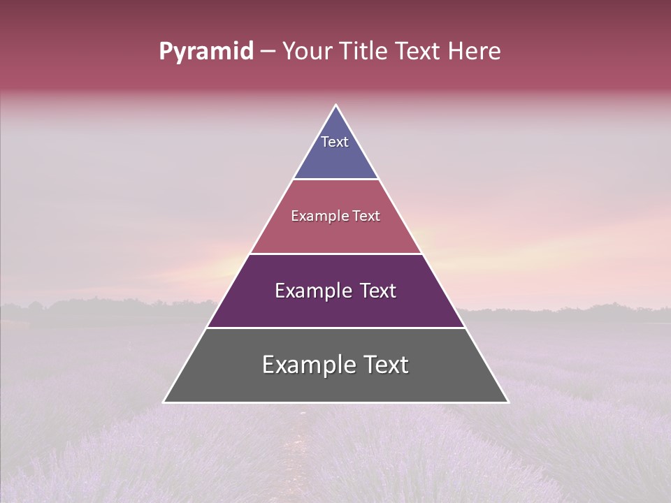 Dusk Perfume Field PowerPoint Template