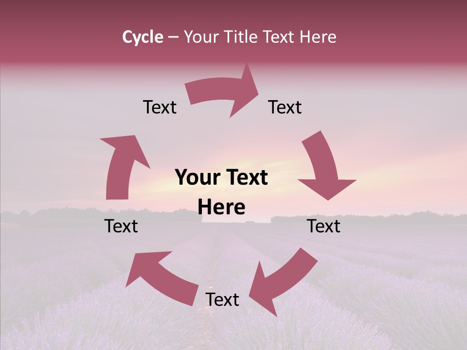 Dusk Perfume Field PowerPoint Template