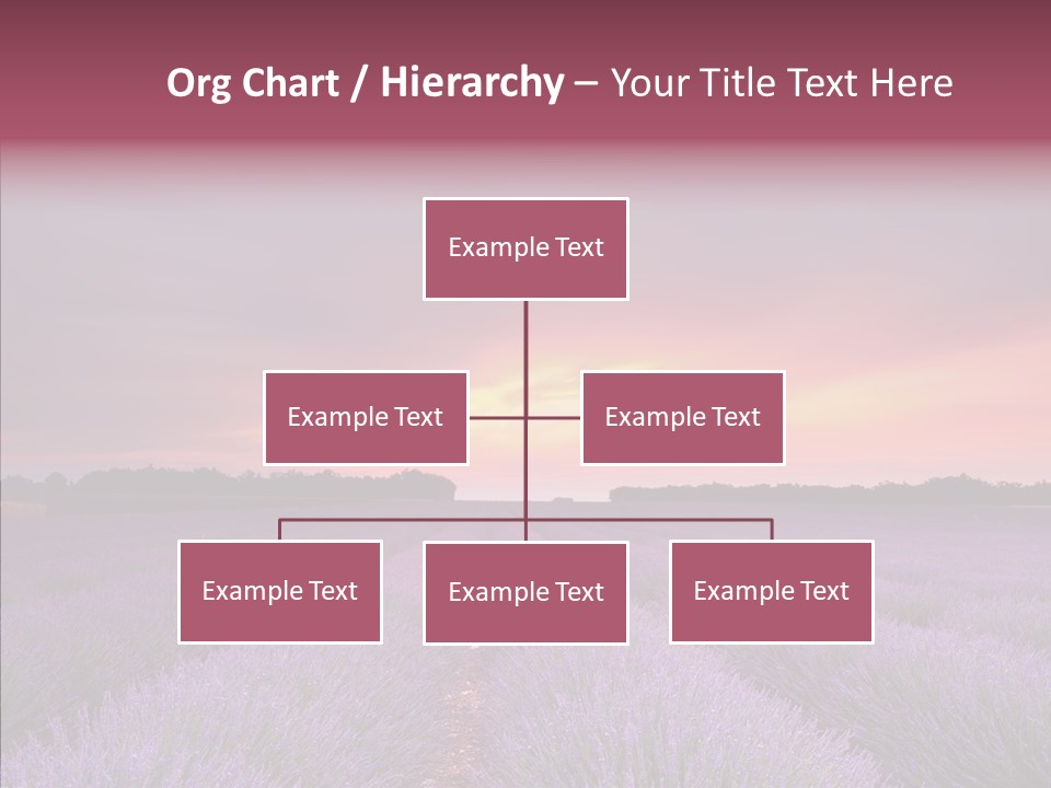 Dusk Perfume Field PowerPoint Template