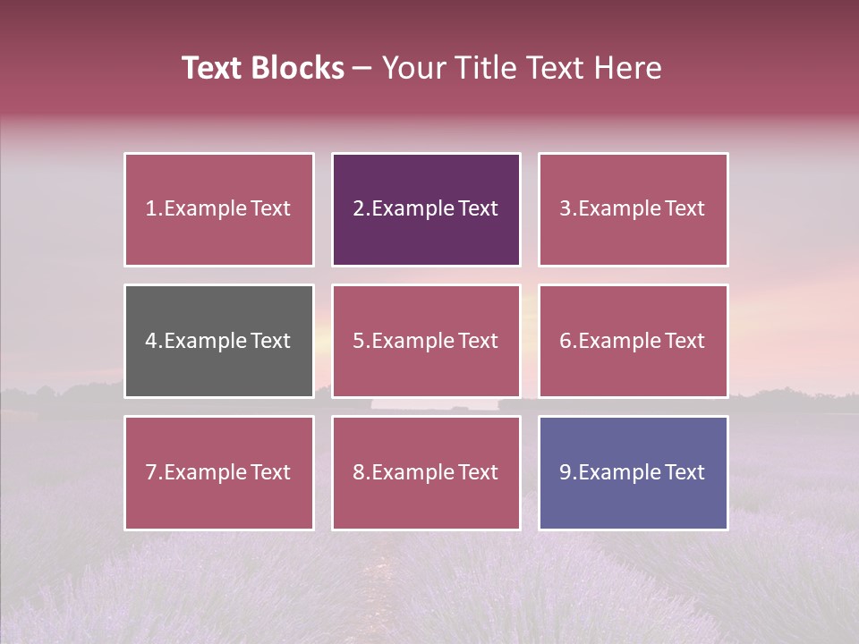 Dusk Perfume Field PowerPoint Template