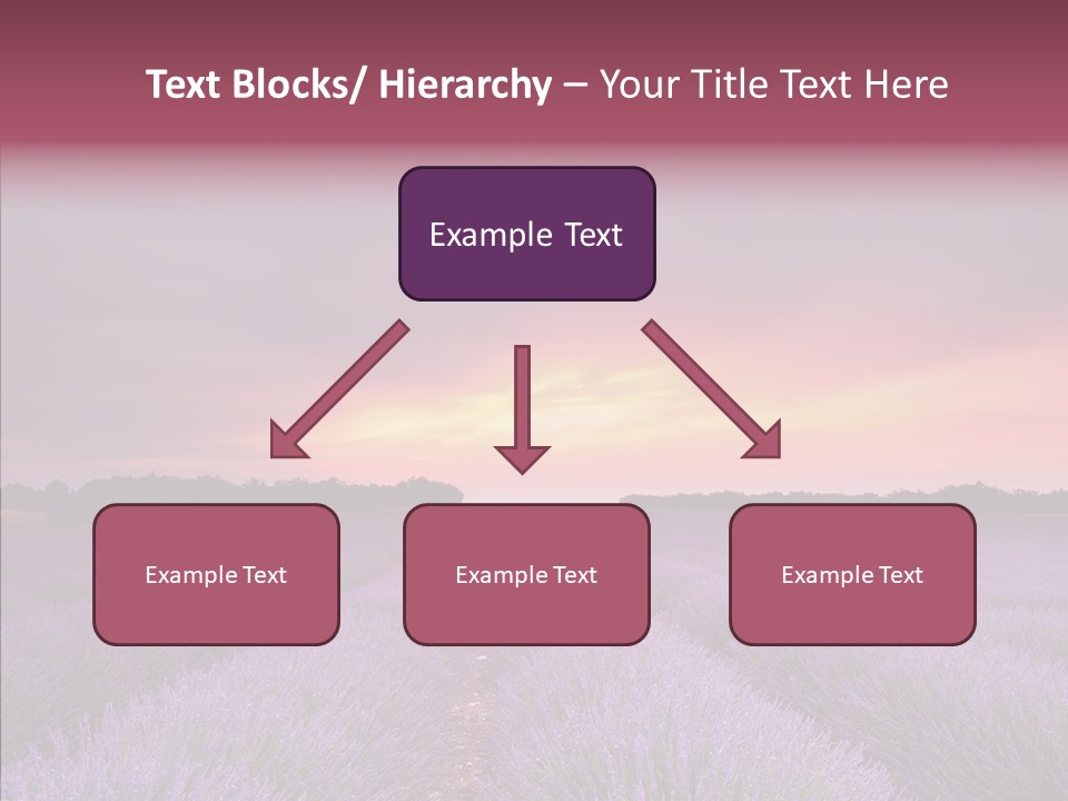 Dusk Perfume Field PowerPoint Template