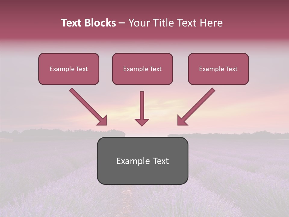 Dusk Perfume Field PowerPoint Template