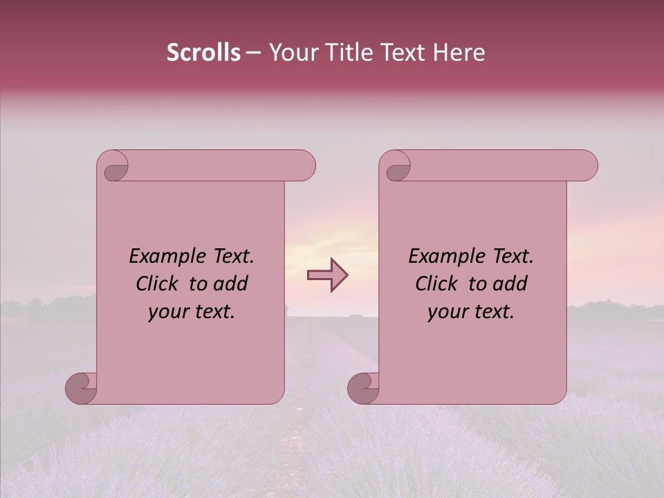Dusk Perfume Field PowerPoint Template