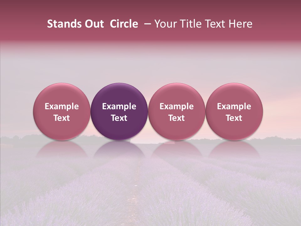 Dusk Perfume Field PowerPoint Template