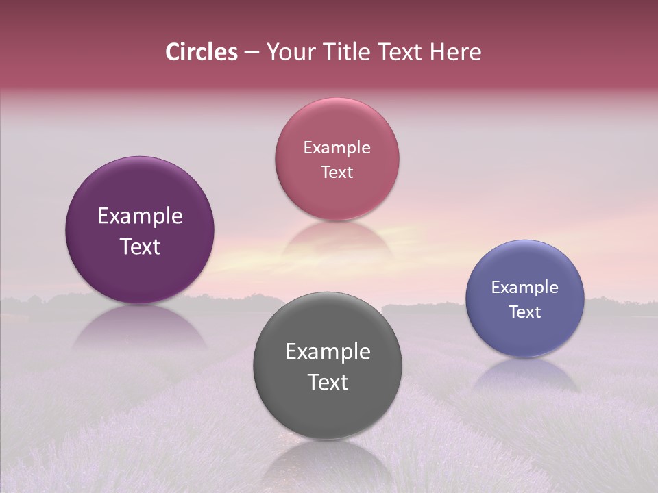 Dusk Perfume Field PowerPoint Template