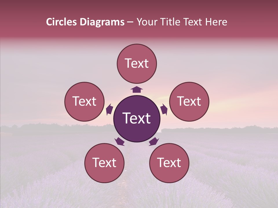 Dusk Perfume Field PowerPoint Template