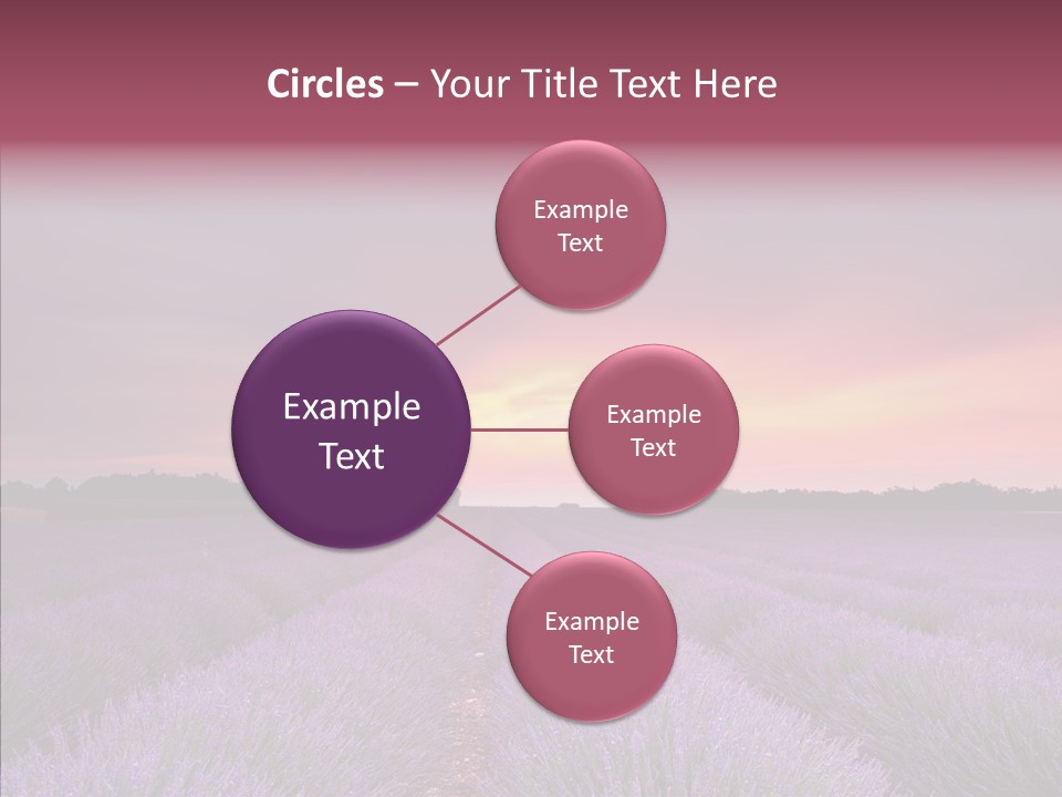 Dusk Perfume Field PowerPoint Template