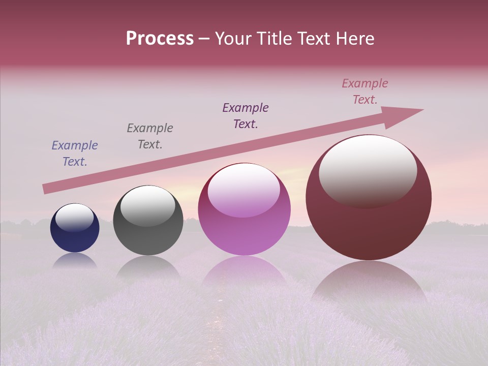 Dusk Perfume Field PowerPoint Template