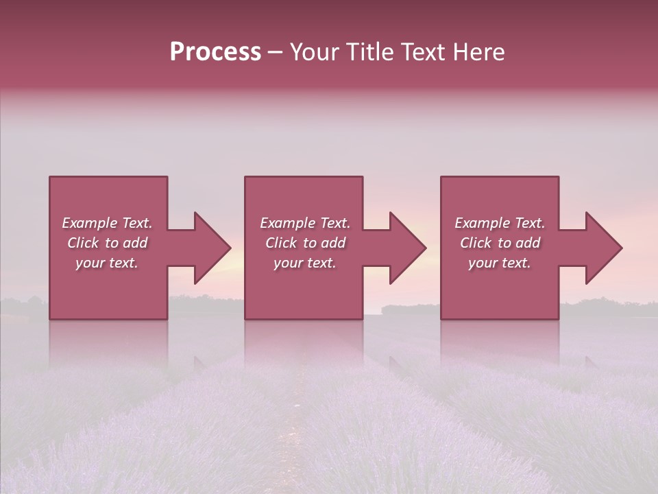 Dusk Perfume Field PowerPoint Template
