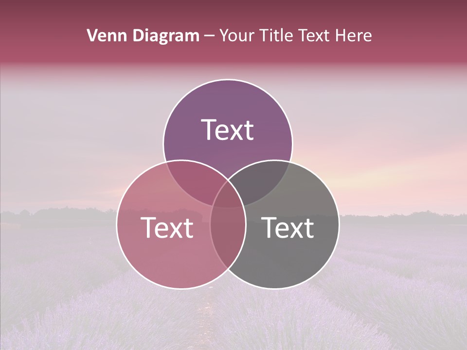 Dusk Perfume Field PowerPoint Template