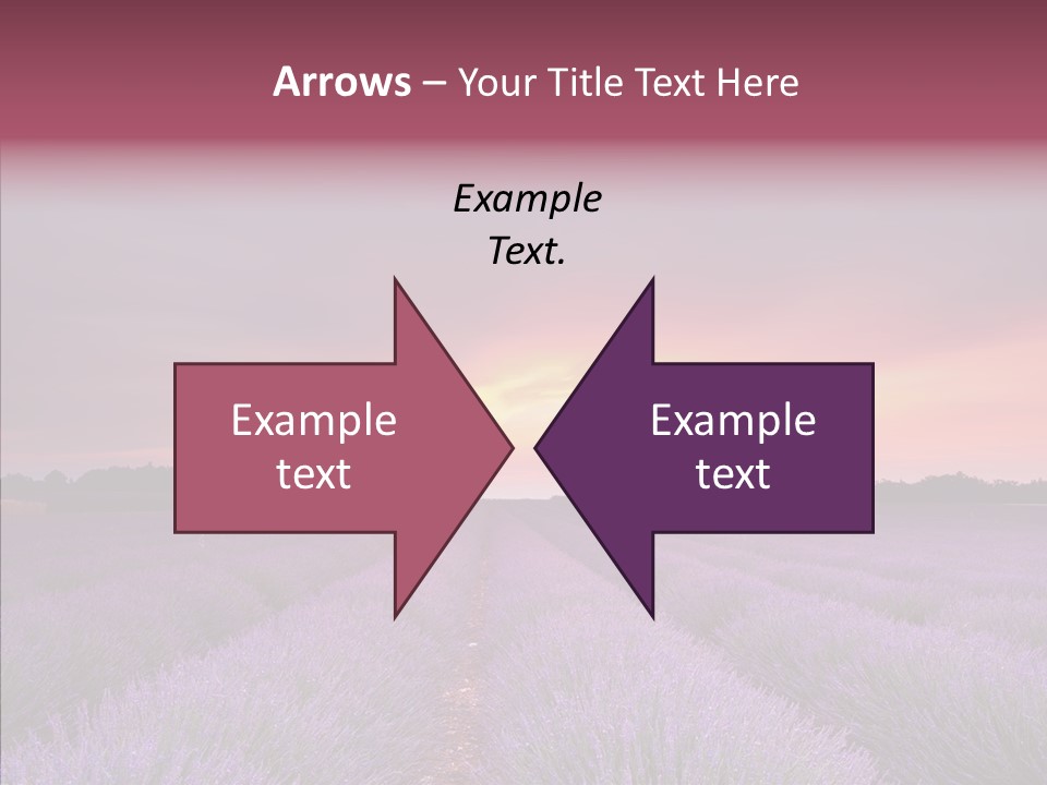 Dusk Perfume Field PowerPoint Template