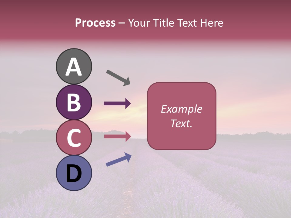 Dusk Perfume Field PowerPoint Template