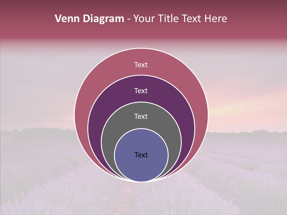 Dusk Perfume Field PowerPoint Template